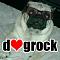 dOgrock