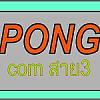 pongcatoon