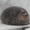 AongSeaL