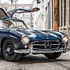 gullwing
